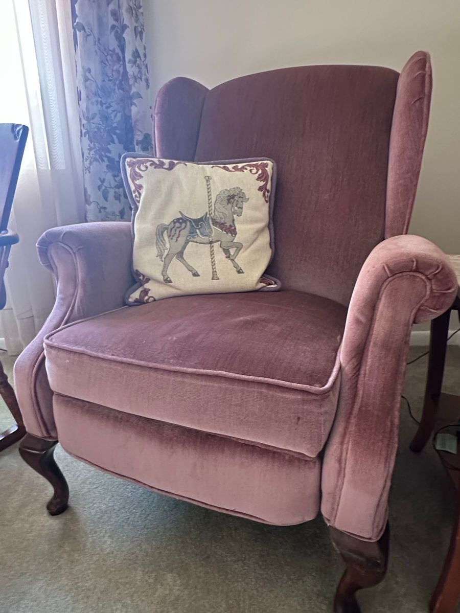 Vintage Velvet Wingback Accent Chair with Carousel Horse Pillow