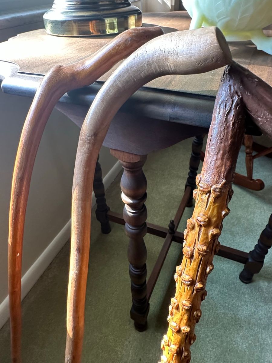 Walking Stick & Cane Collection