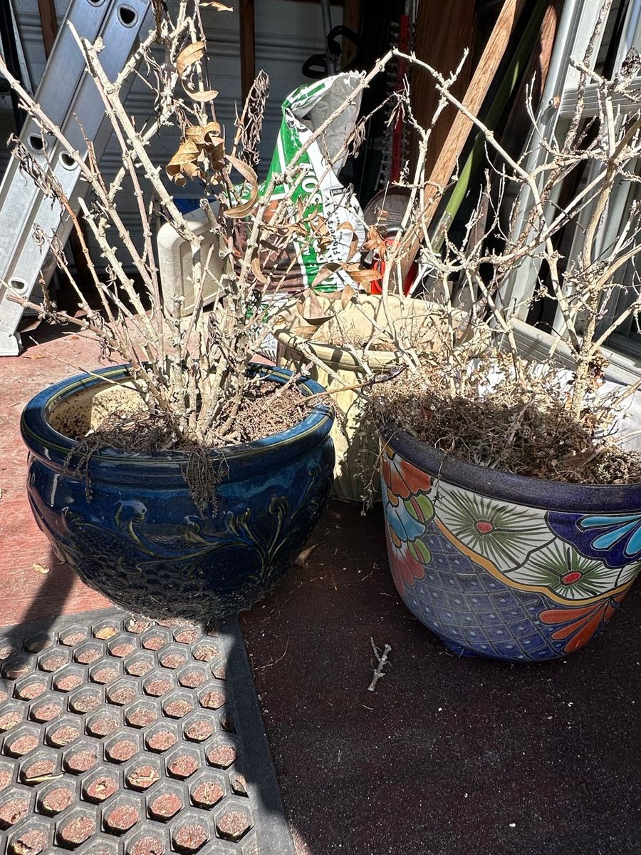 Decorative Ceramic Planter Grouping