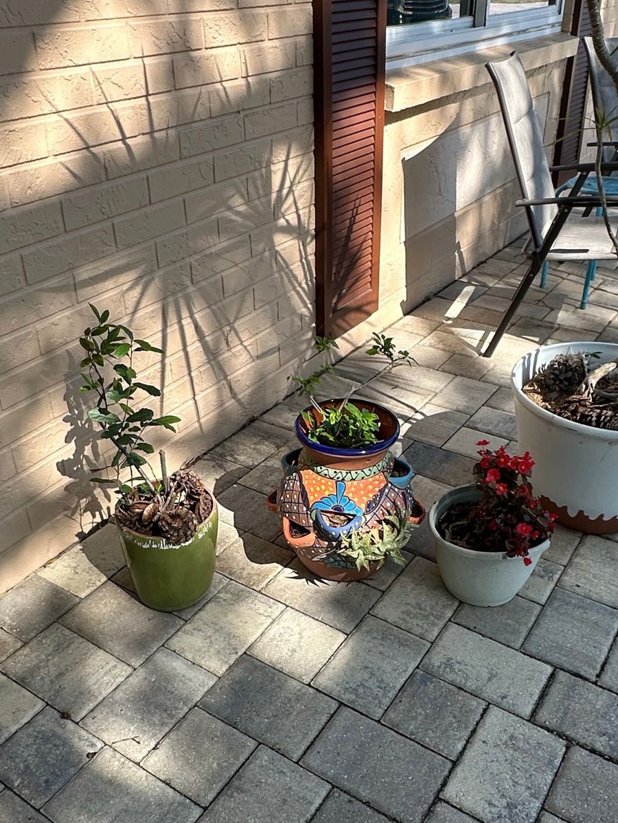 Outdoor Planters & Plant Assortment