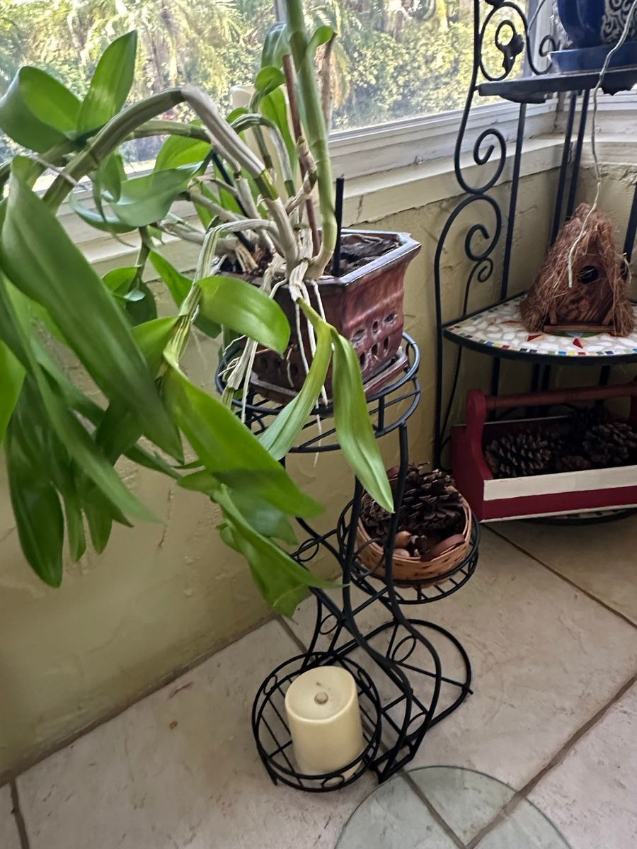 Wrought Iron Plant Stand with Orchid and Decorative Accents