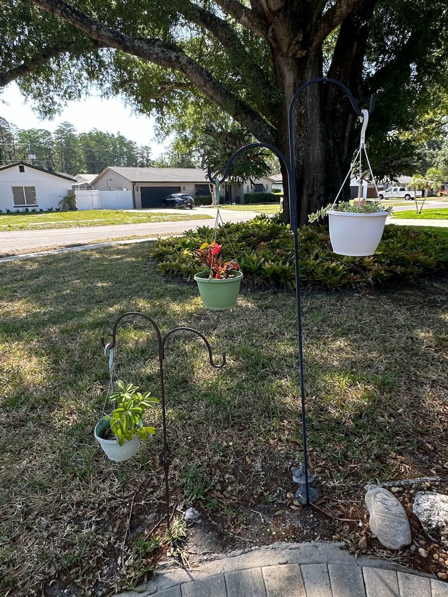Hanging Planter Assortment