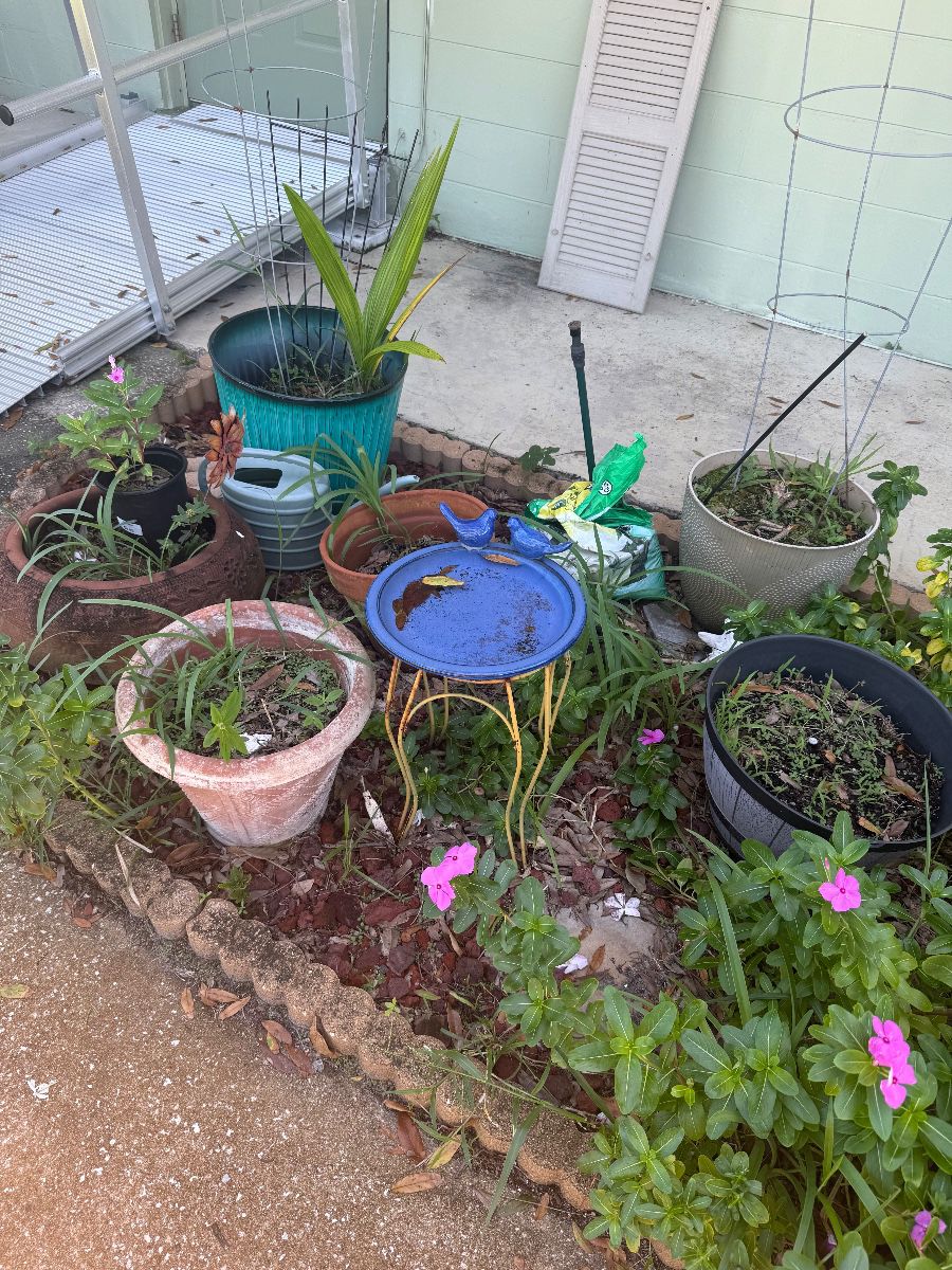 Nice Clean Estate Sale Household