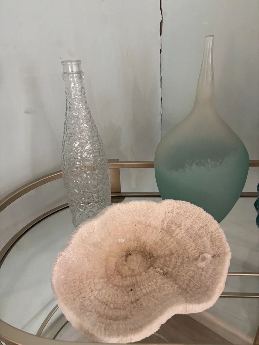 Coastal Chic Estate Sale in Siesta Key