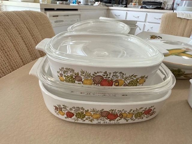 Family Nest Pinellas North presents Top of the World Extravaganza