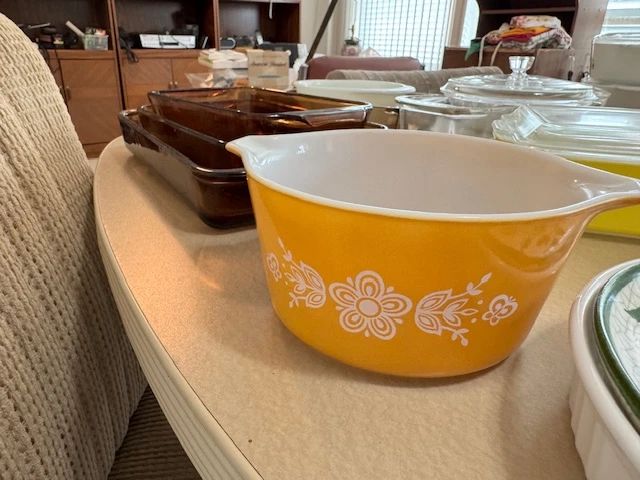 Family Nest Pinellas North presents Top of the World Extravaganza