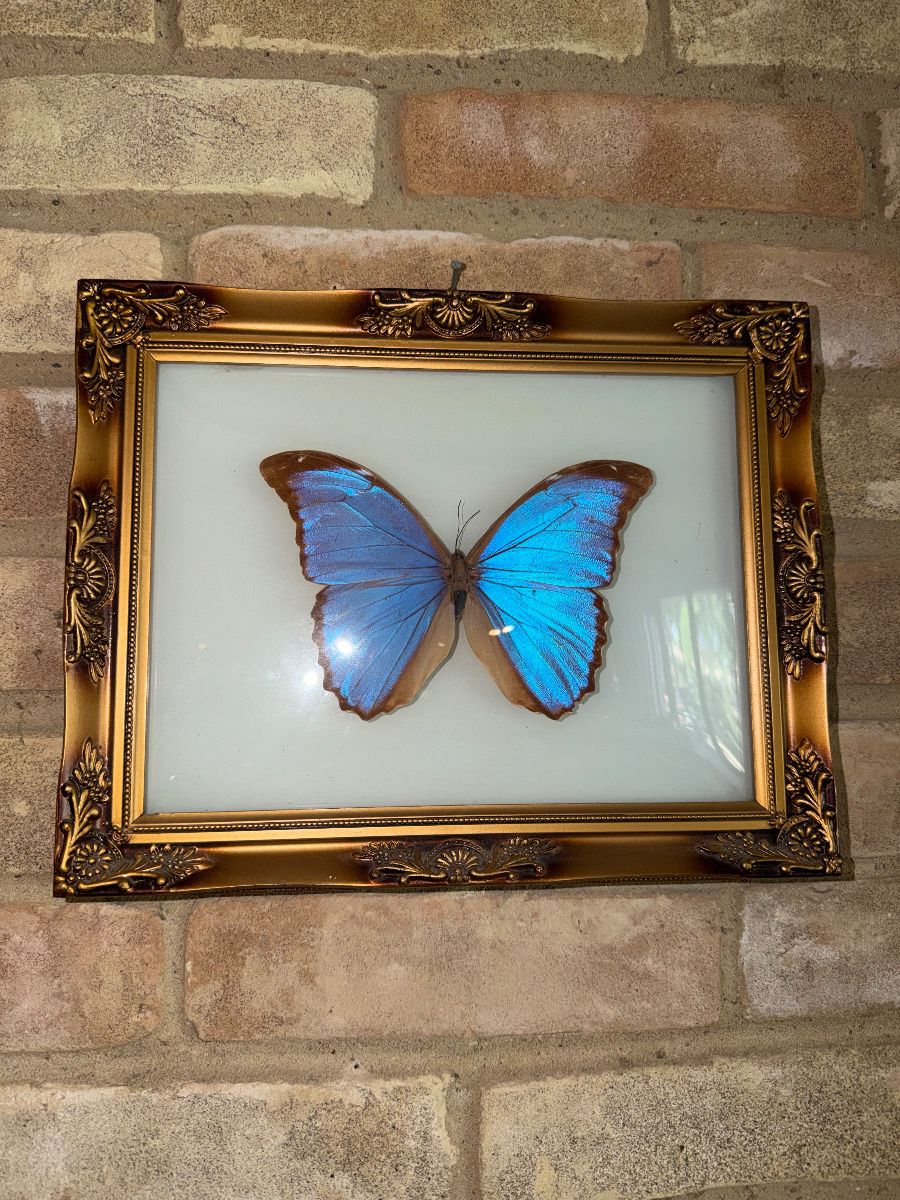 Terrific Time Capsule MCM Items Duncanville Estate Sale