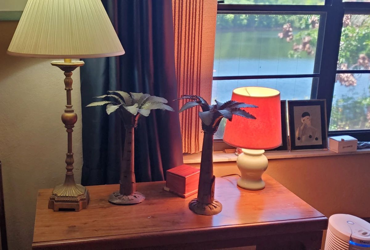 Starling - Whispering Lakes