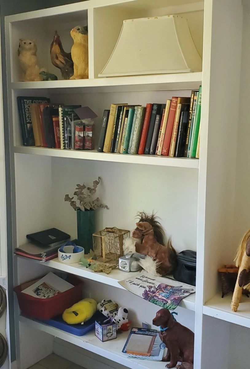 Starling - Whispering Lakes