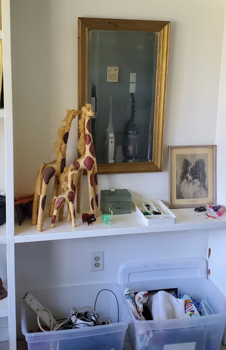 Starling - Whispering Lakes