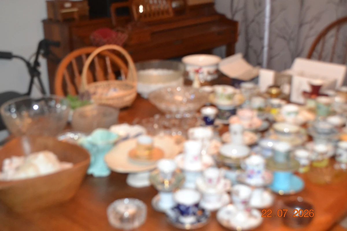 East Lake Woodlands Villa Estate Sale