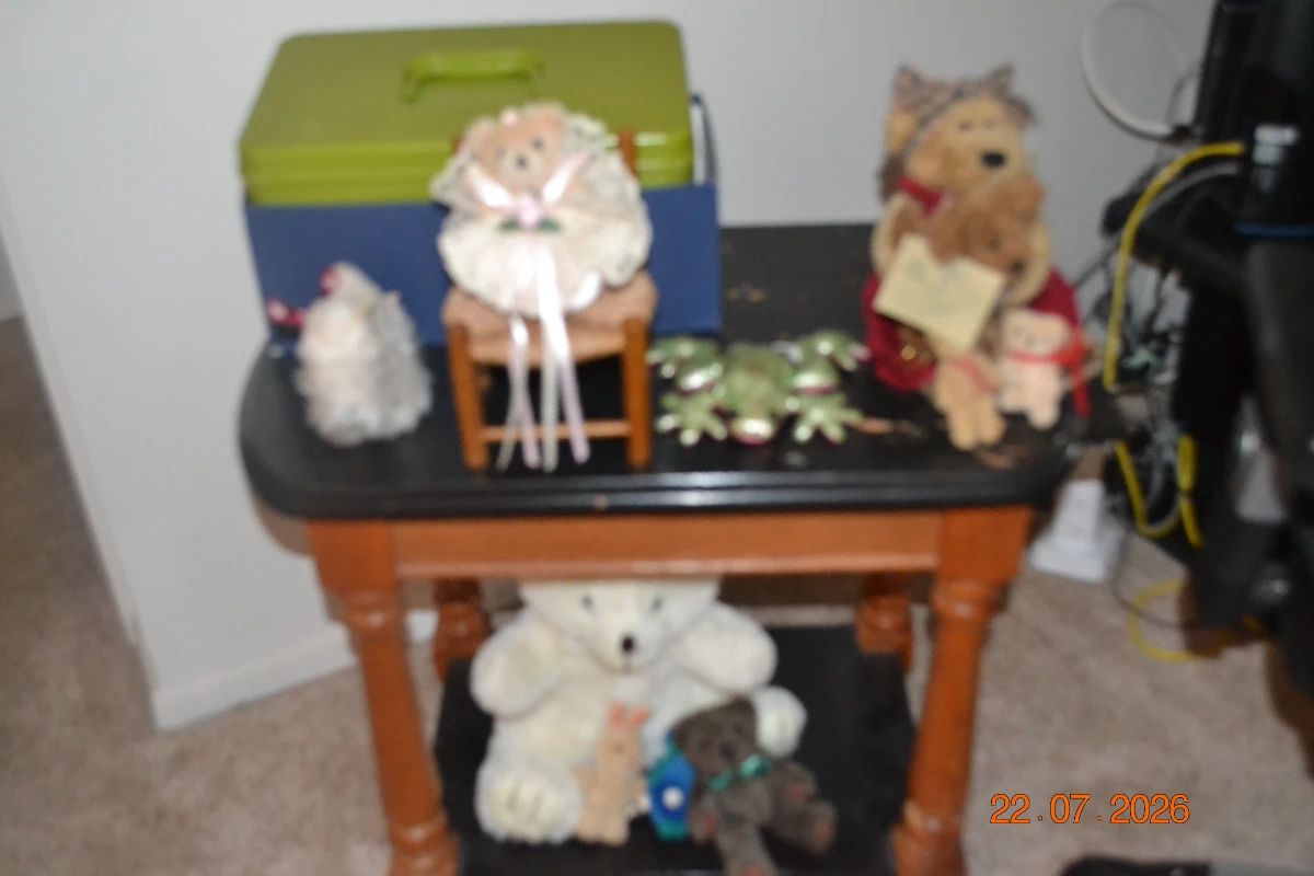 East Lake Woodlands Villa Estate Sale