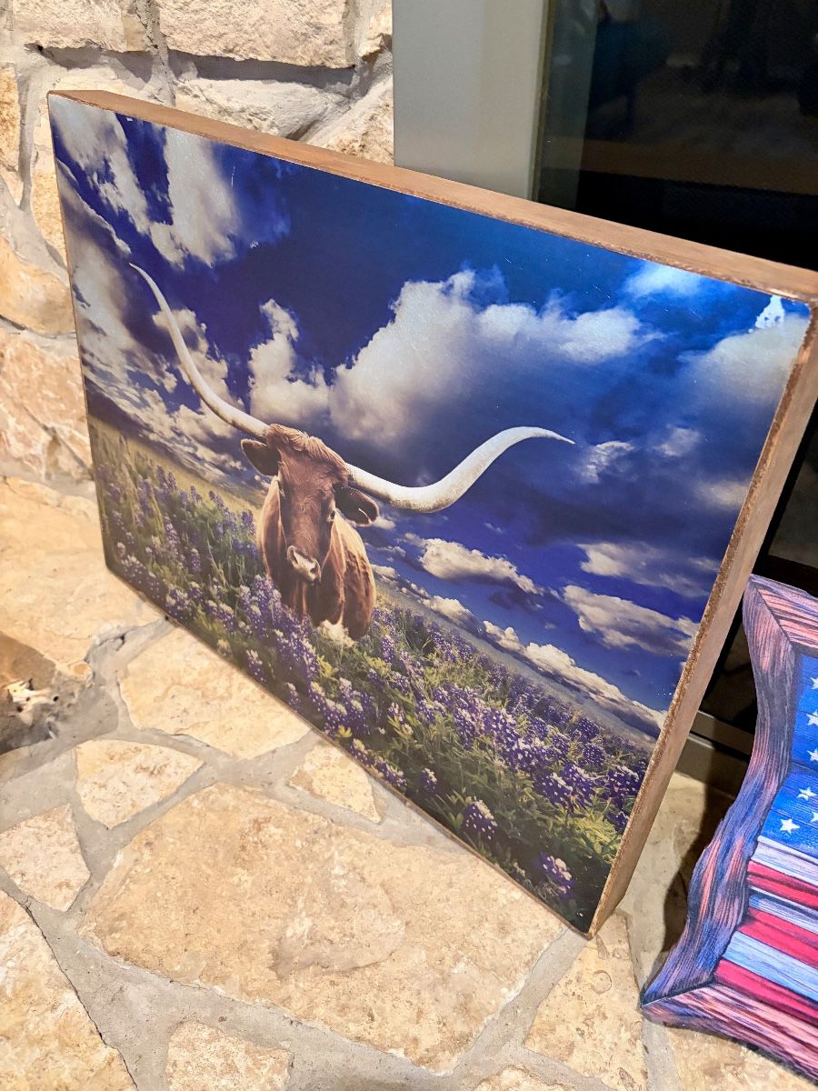 Alvarado Western & Texas  by Lisa’s Liquidations