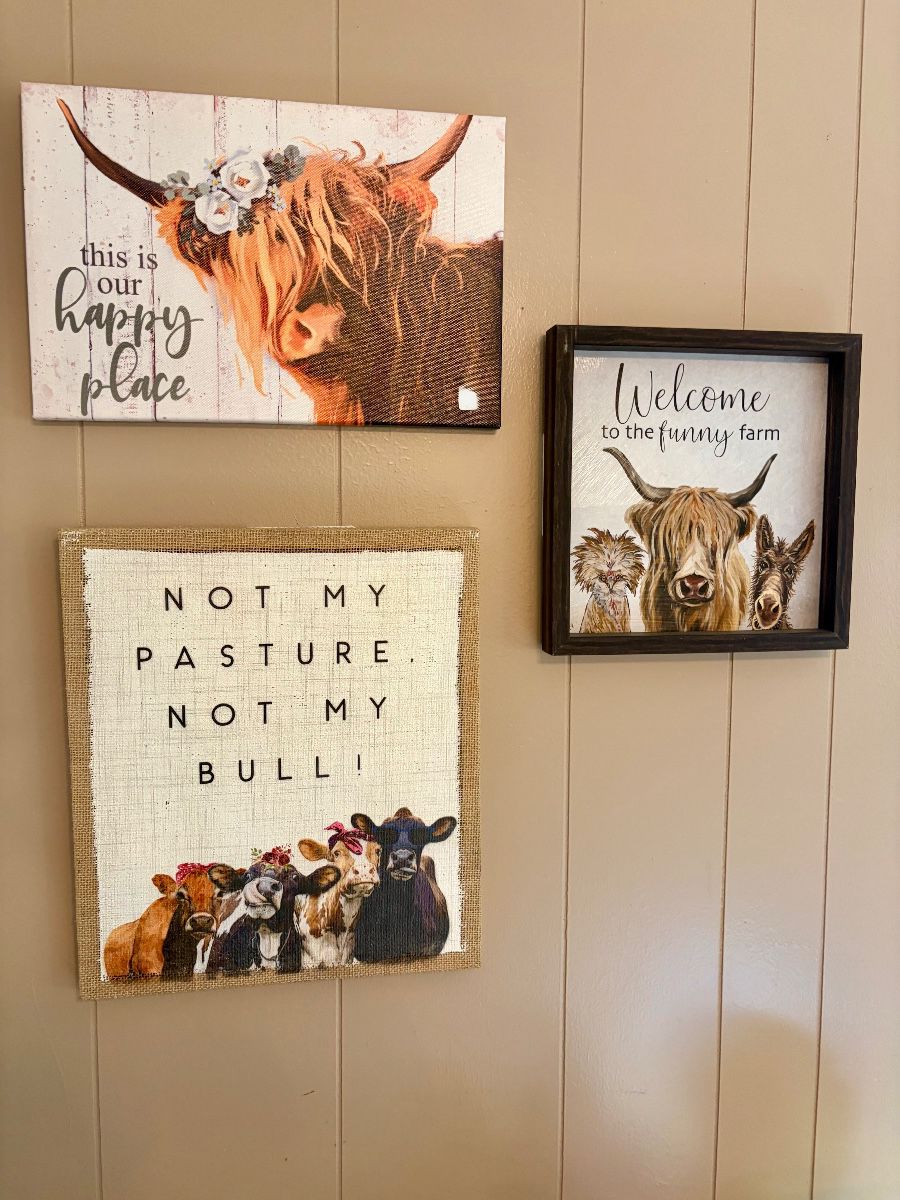 Alvarado Western & Texas  by Lisa’s Liquidations