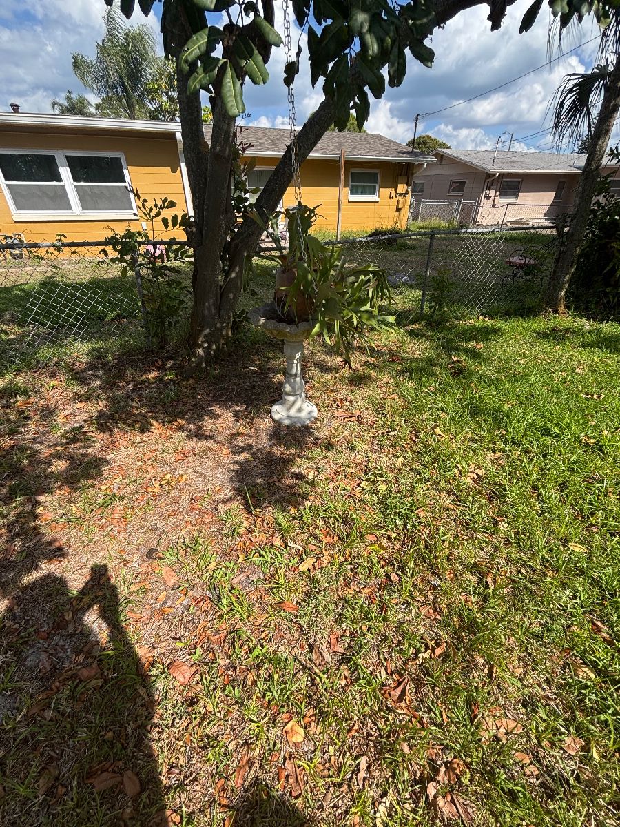 Antique Concrete Bird Bath with Staghorn Fern Plant