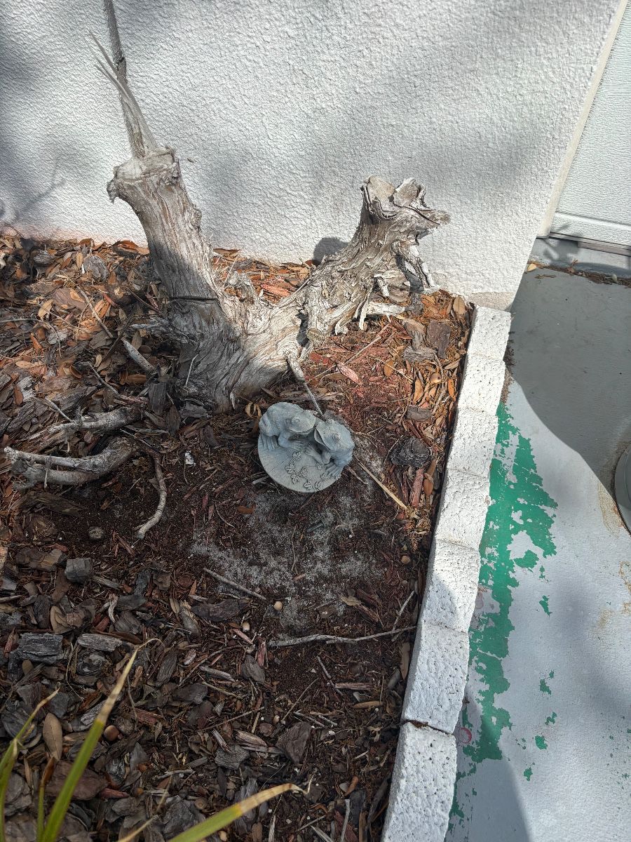 Garden Decor Lot: Concrete Frog Ornament & Natural Wood Accent