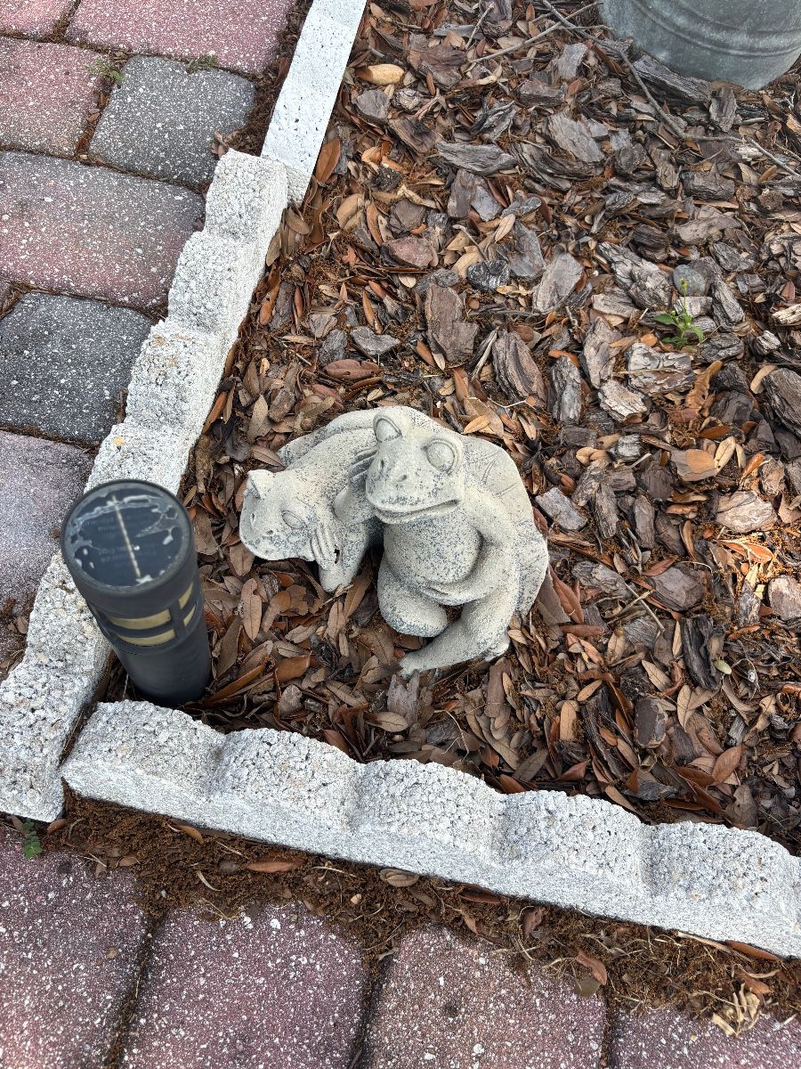 Whimsical Concrete Frog and Cat Garden Statue