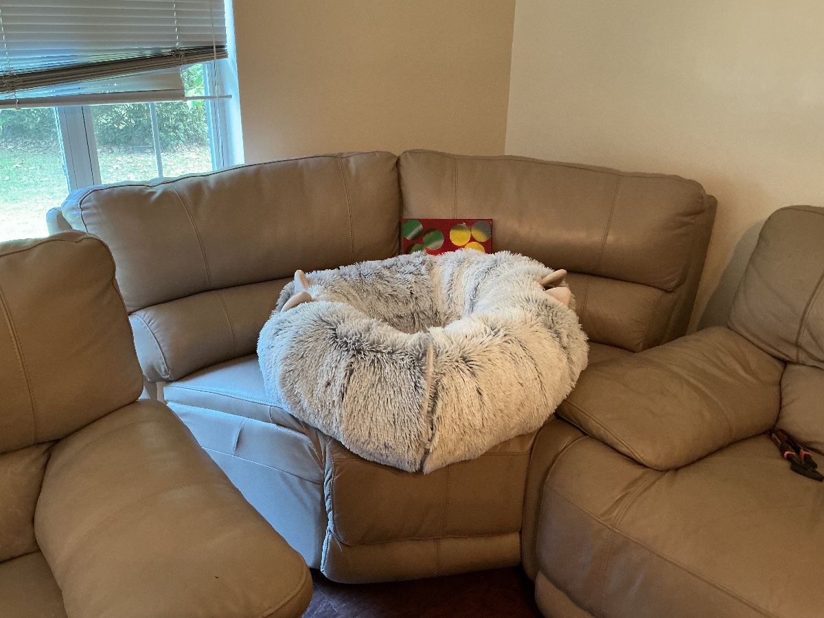 AMAZING SALE IN RAINBOW SPRINGS (DUNNELLON)