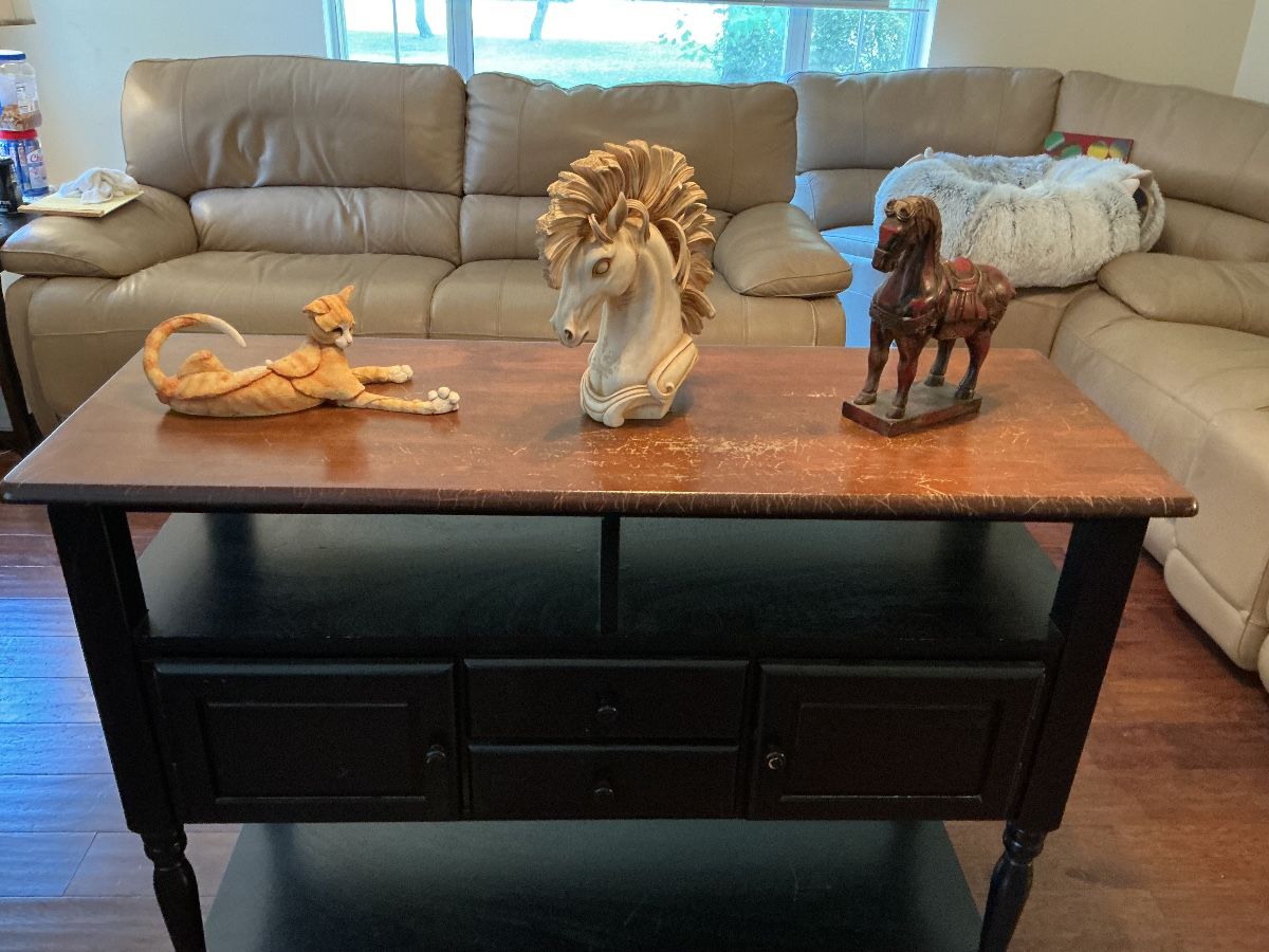 AMAZING SALE IN RAINBOW SPRINGS (DUNNELLON)