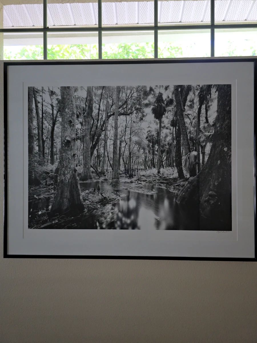 Renee's Estate Sales