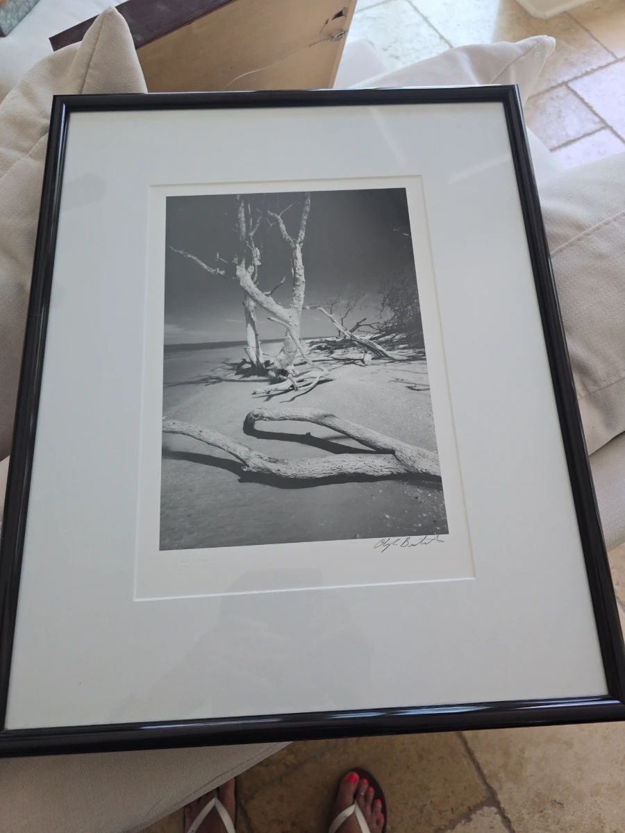 Renee's Estate Sales