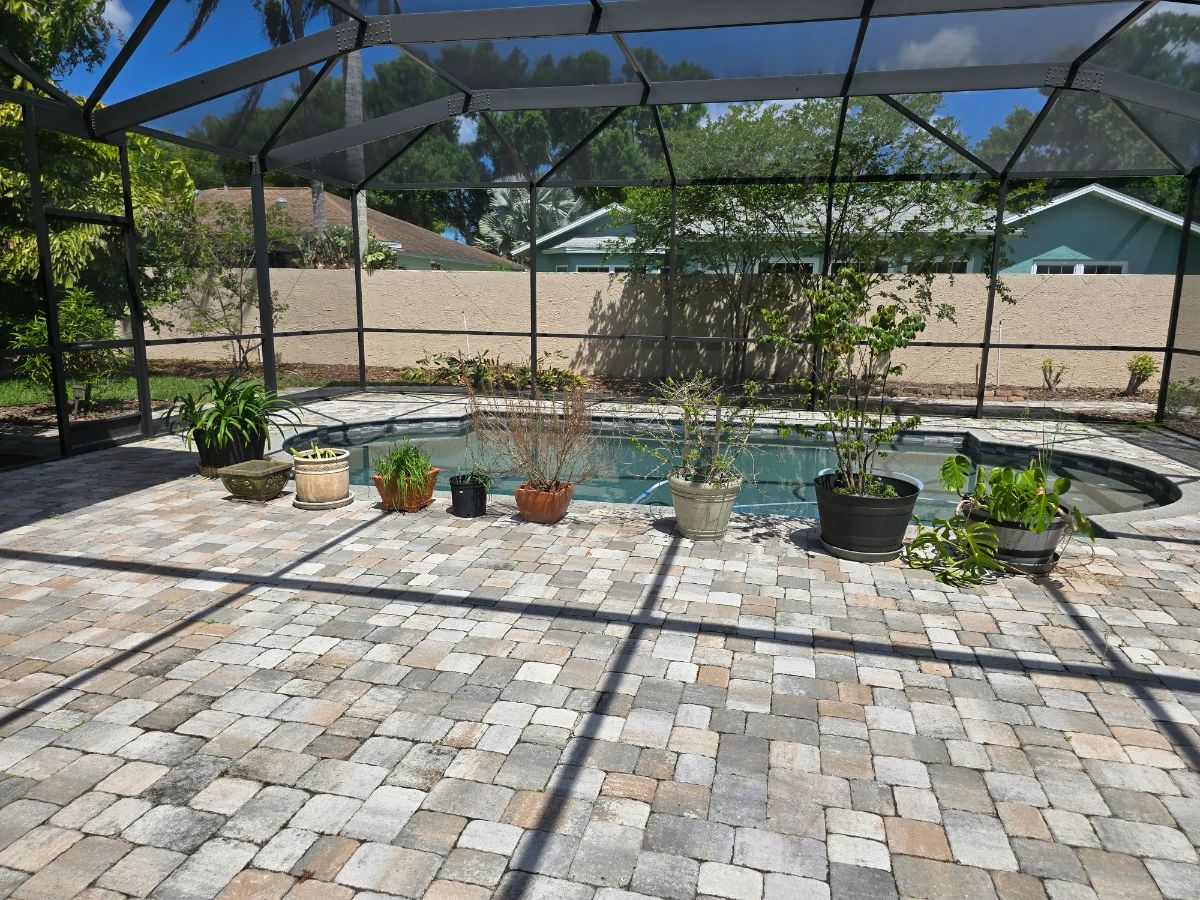 Poolside Potted Plant Assortment
