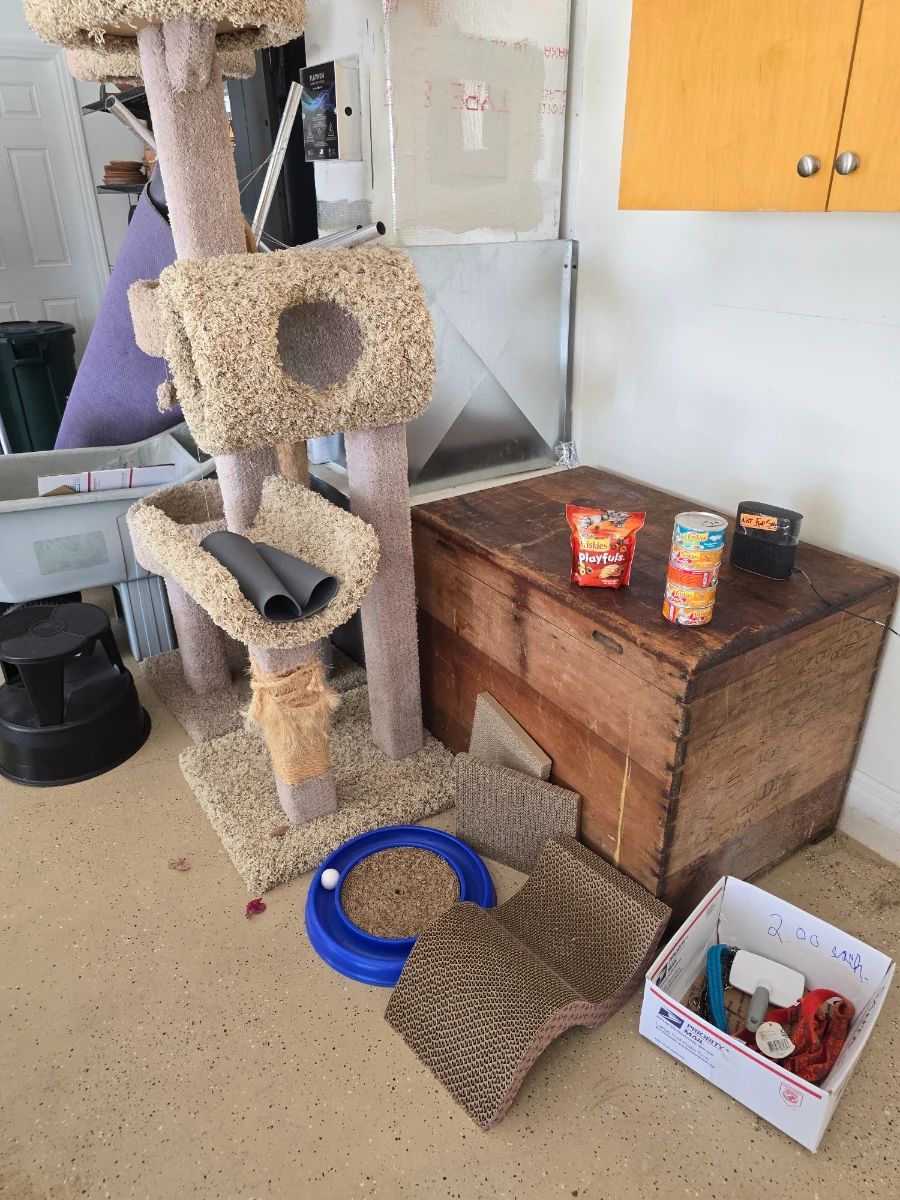 Cat Tree & Pet Supplies Assortment