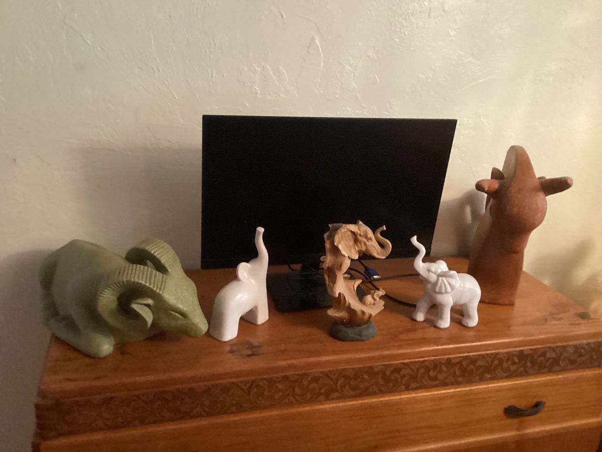 SunCoast Estate Sales