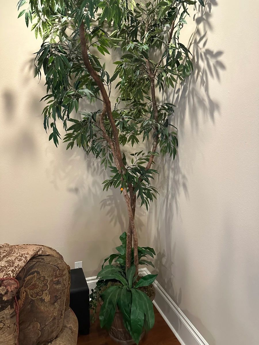 Artificial Ficus Tree in Decorative Planter