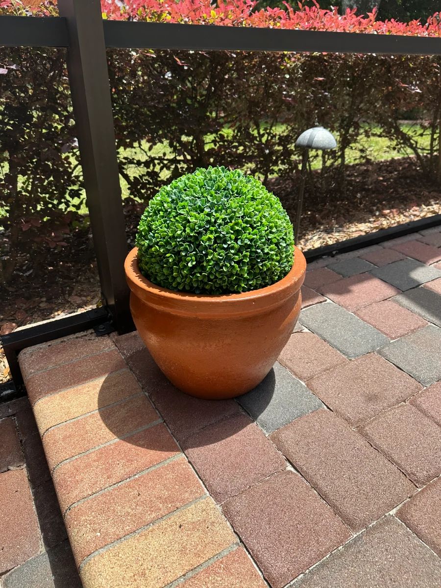 Artificial Boxwood Topiary Ball in Terracotta Pot