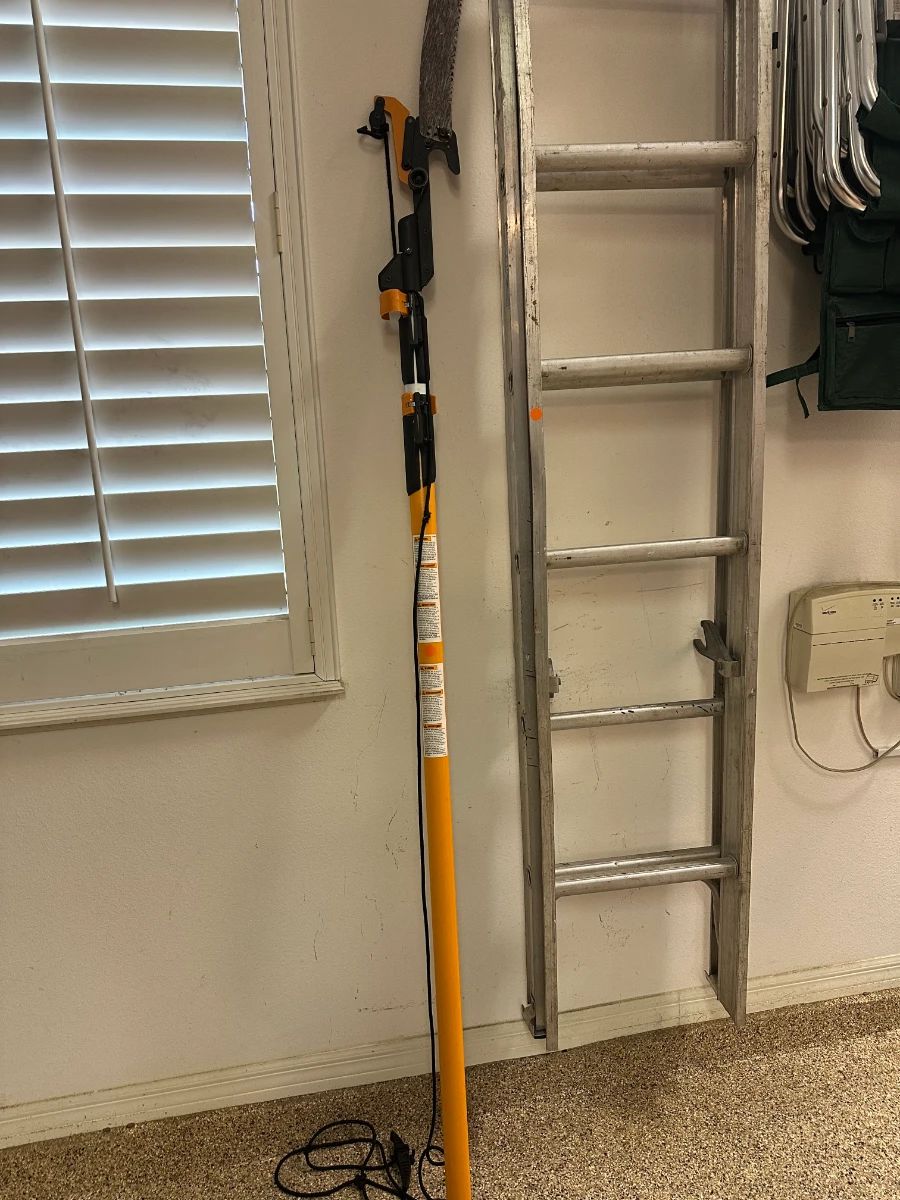 Sun Joe SWJ803E 8-Amp 8-Inch Electric Pole Saw with 12-Foot Extension Ladder