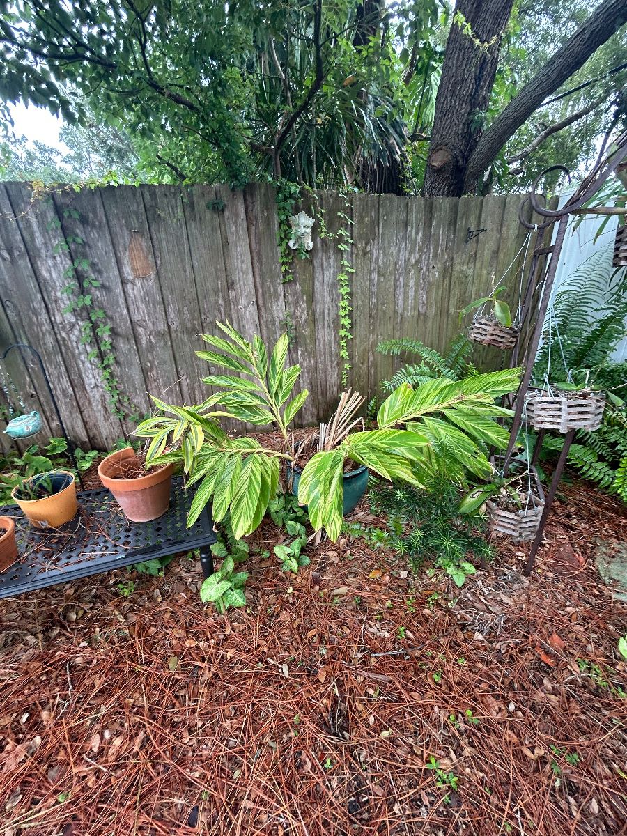 HEAVENLY HANDS ESTATE SALES-TOOL WHISPERER CONTINUES- 07/29-31/2026 & , 08/01/2026