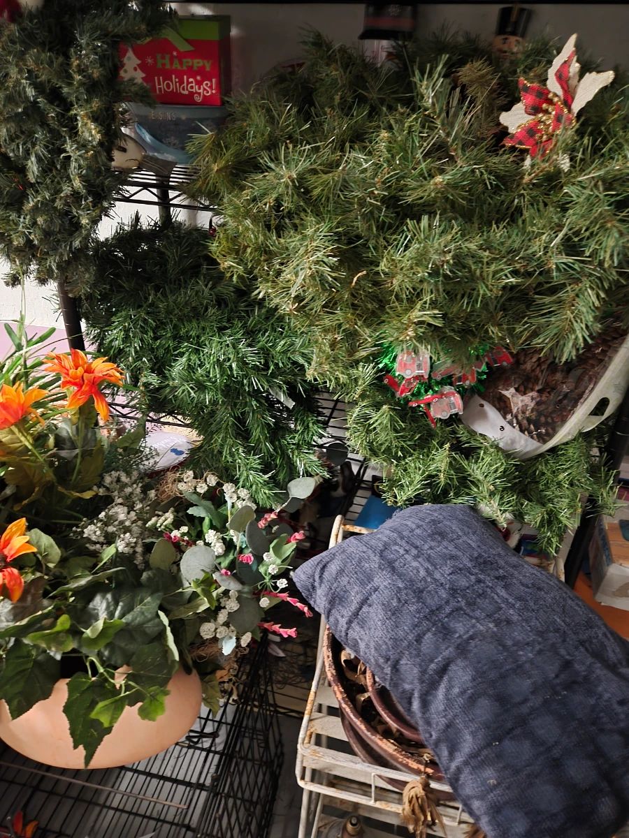 ESTATE SALES OF CENTRAL FLORIDA-The Original Estate Sale Company!