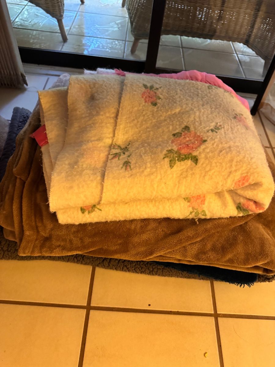 Estate Sale in Ocala