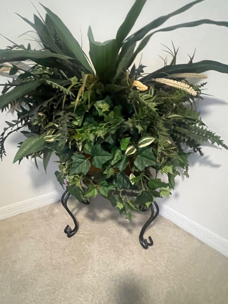 BCP Estate Sales In Tampa