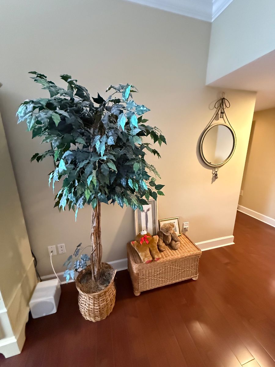 Faux Ficus Tree in Wicker Basket