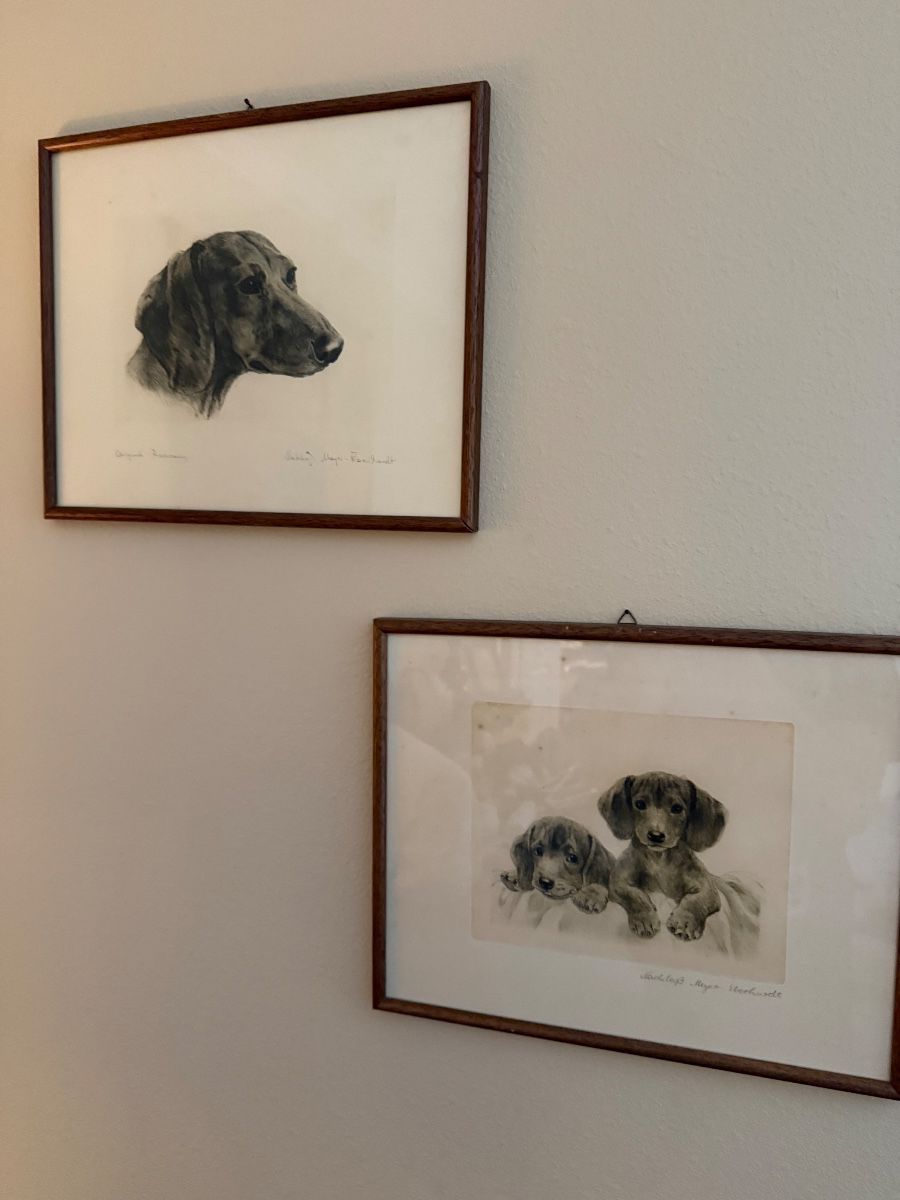 Vintage Dog Portrait Collection