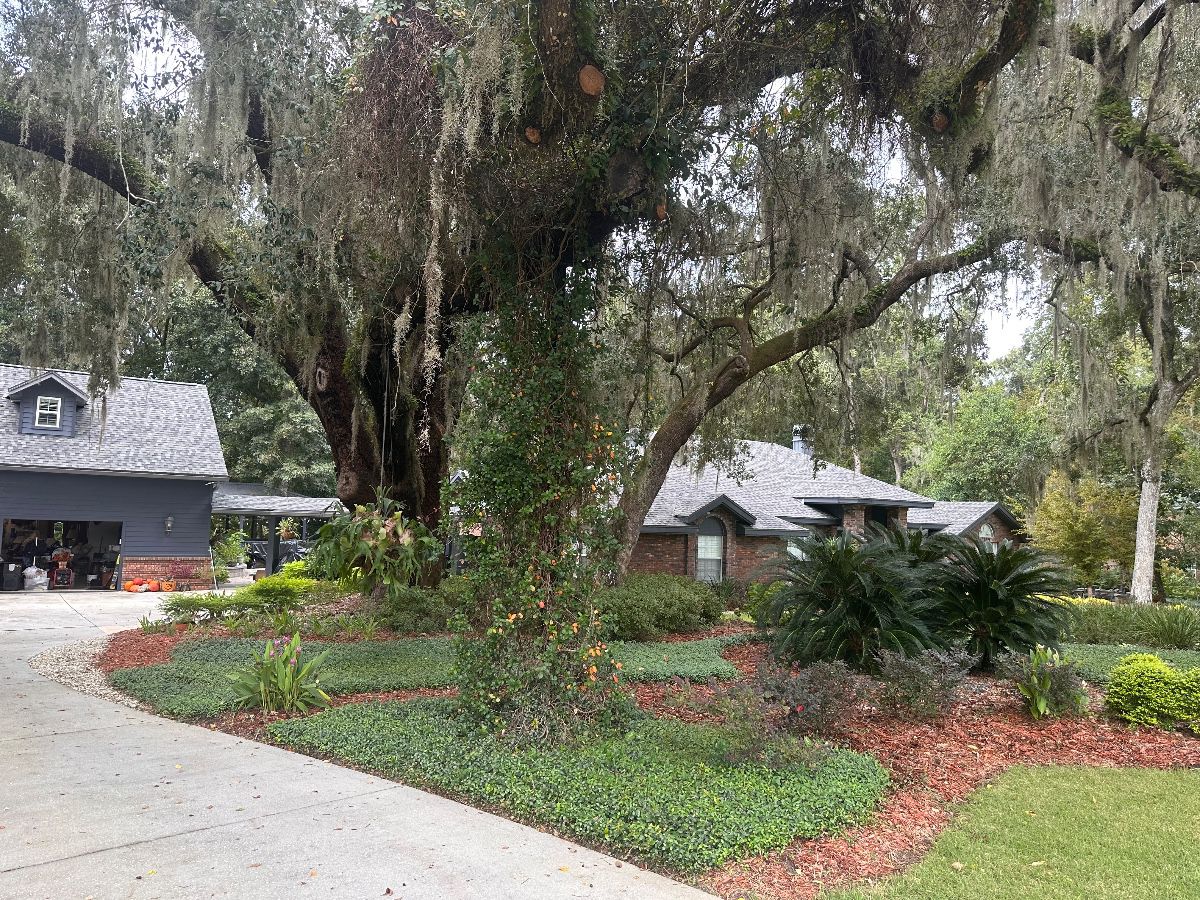 Times Remembered Estate Sale