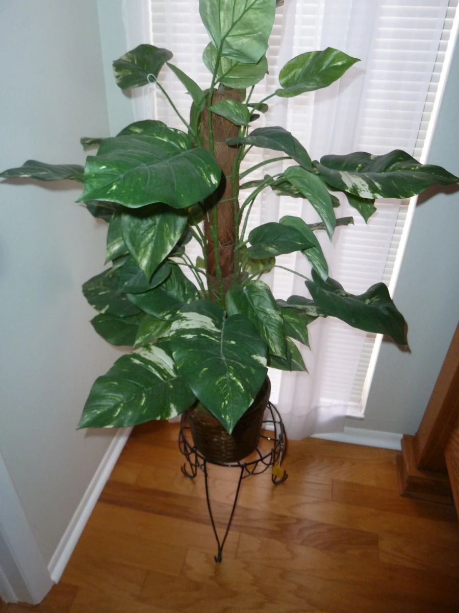 Faux Pothos Plant with Decorative Stand