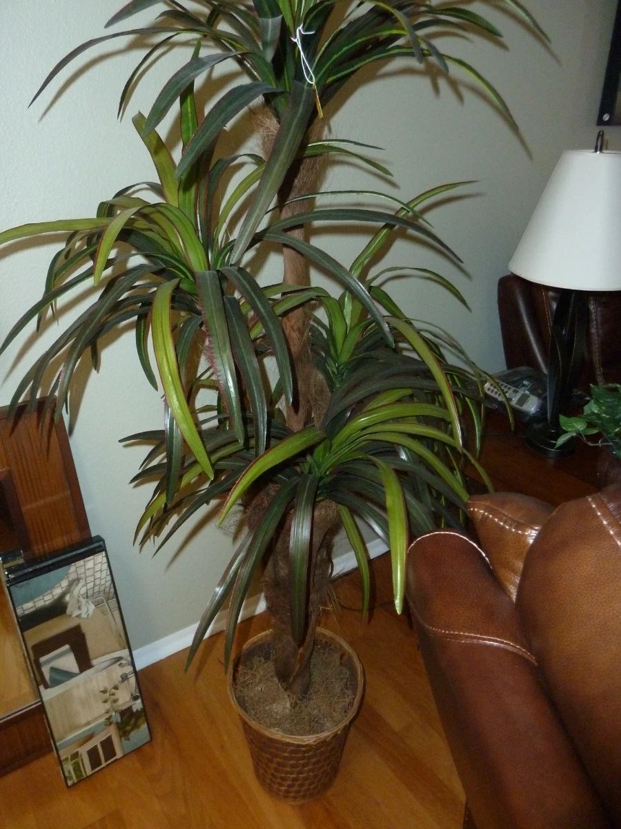 Artificial Palm Tree in Woven Planter