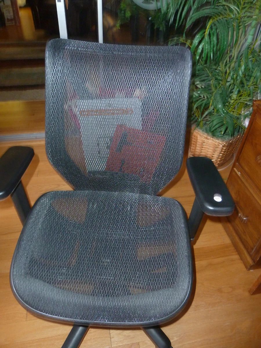 Herman Miller Embody Ergonomic Office Chair