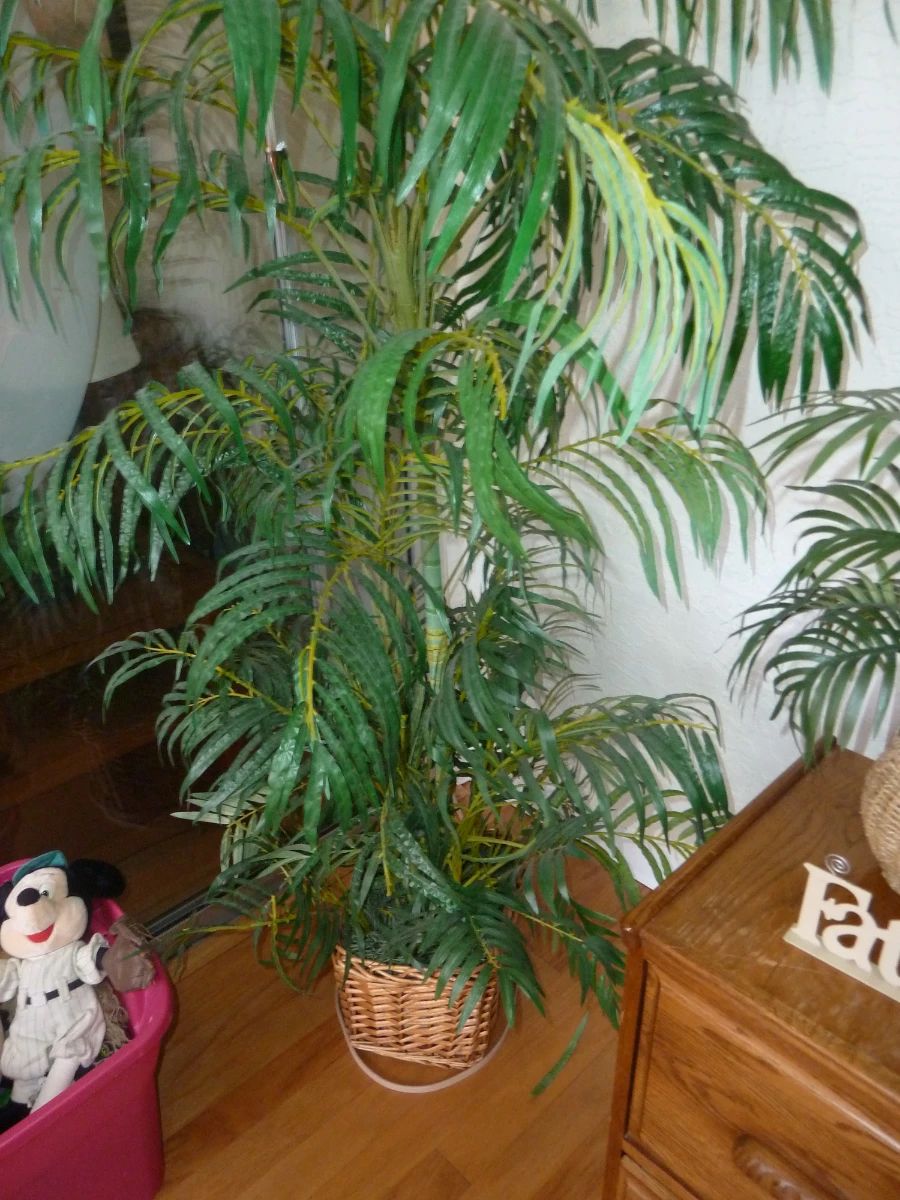 Artificial Areca Palm Plant in Wicker Basket