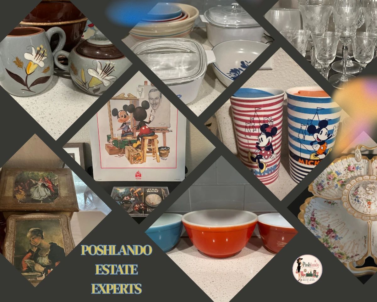 Poshlando Presents: Disney Memories & Household Treasures Estate Sale