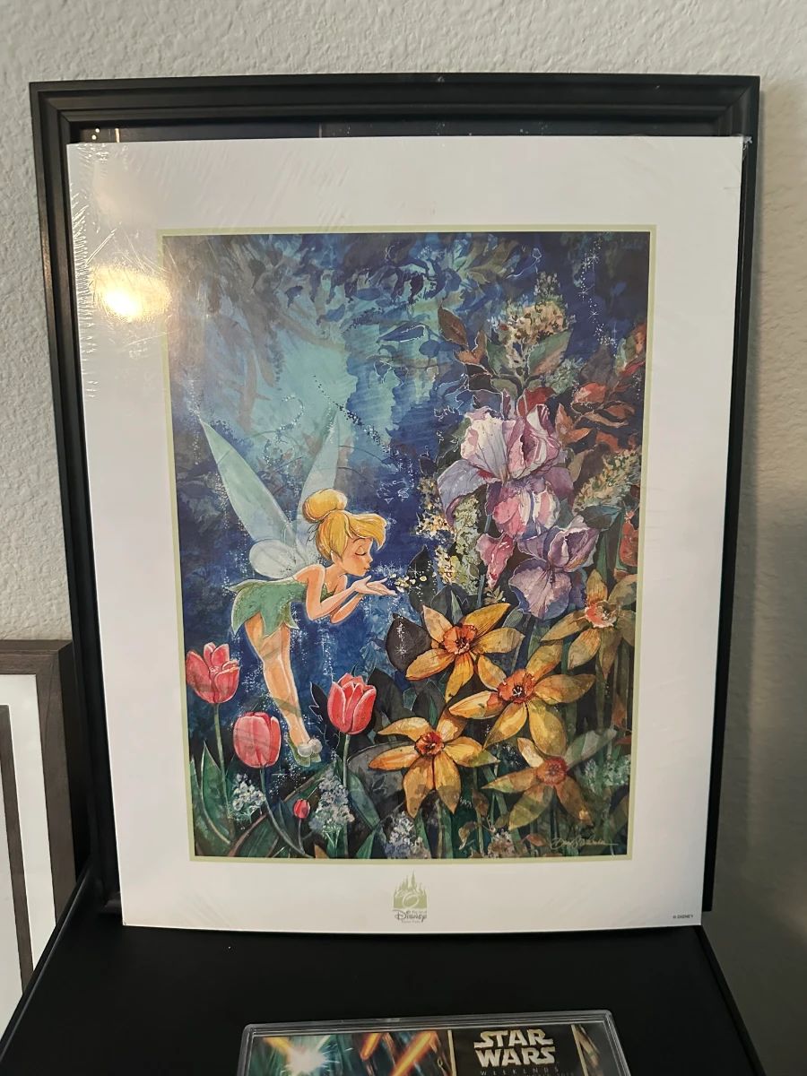 Poshlando Presents: Disney Memories & Household Treasures Estate Sale