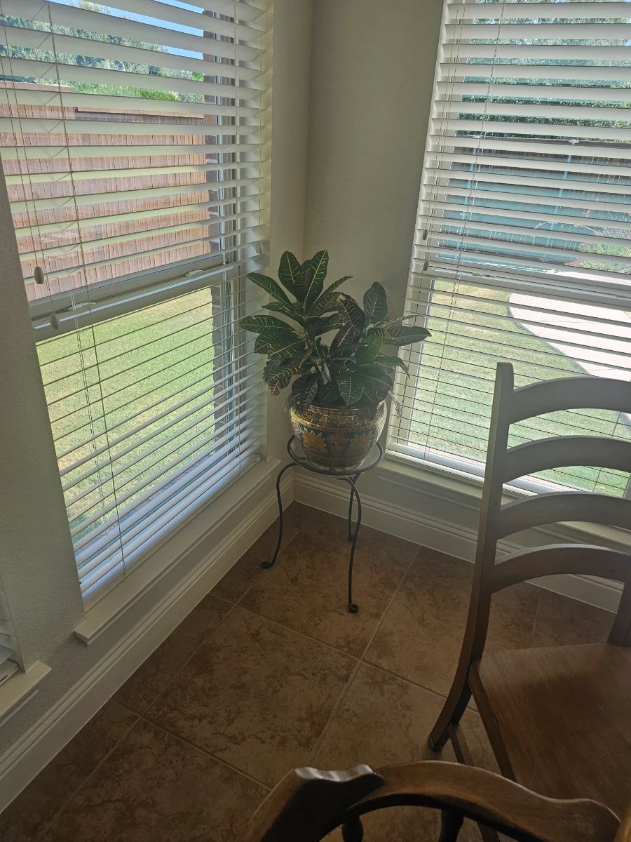 UPSCALE ELEGANCE GEORGIAN COURT MODERN FURNITURE ESTATE SALE BY ALAMO AZTEK ESTATE SALES DFW