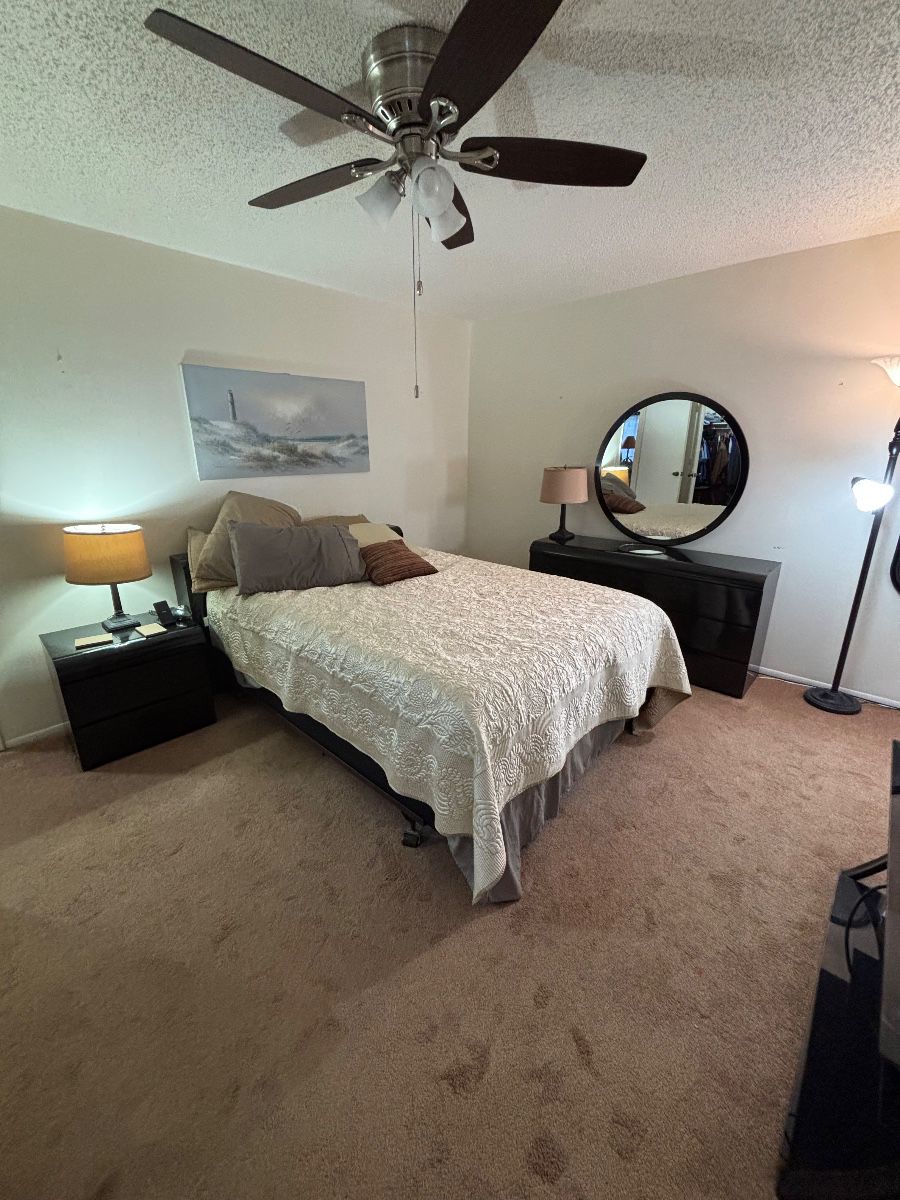 Estate Sale Pinellas Park