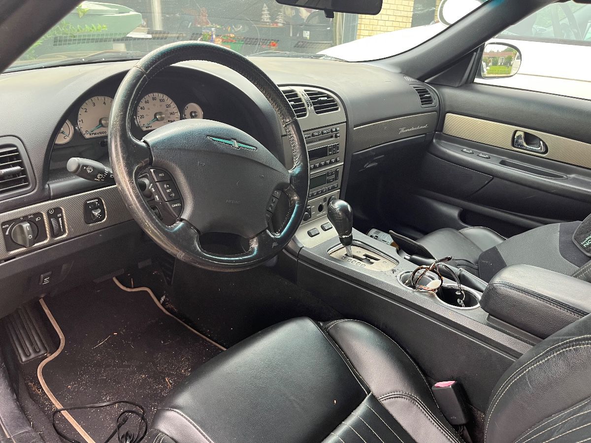 Packed to the gills! With a Ford Thunderbird!
