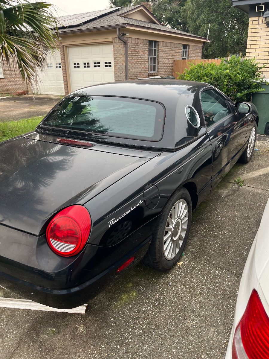 Packed to the gills! With a Ford Thunderbird!