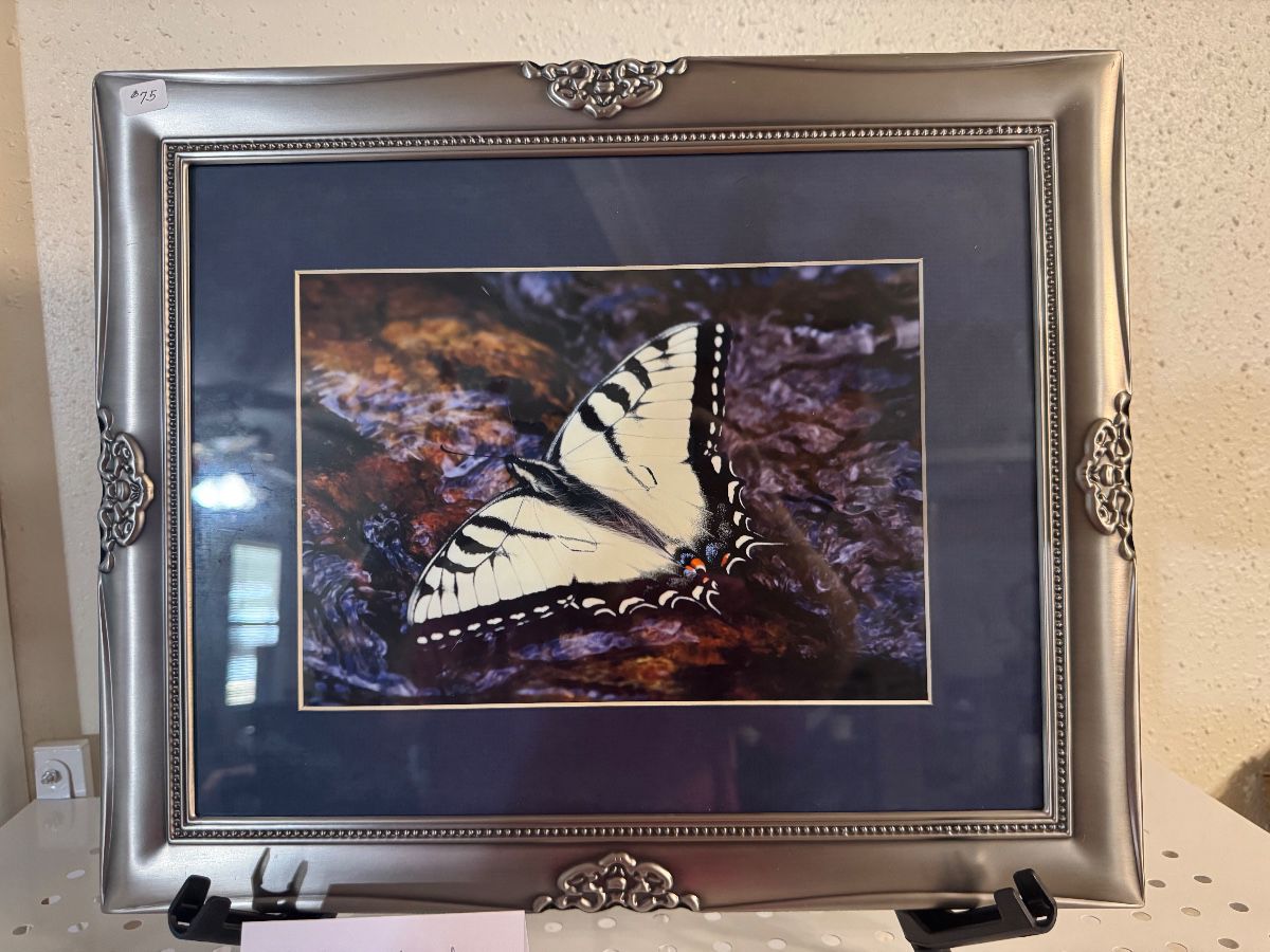 Estate Sale in Milton!
