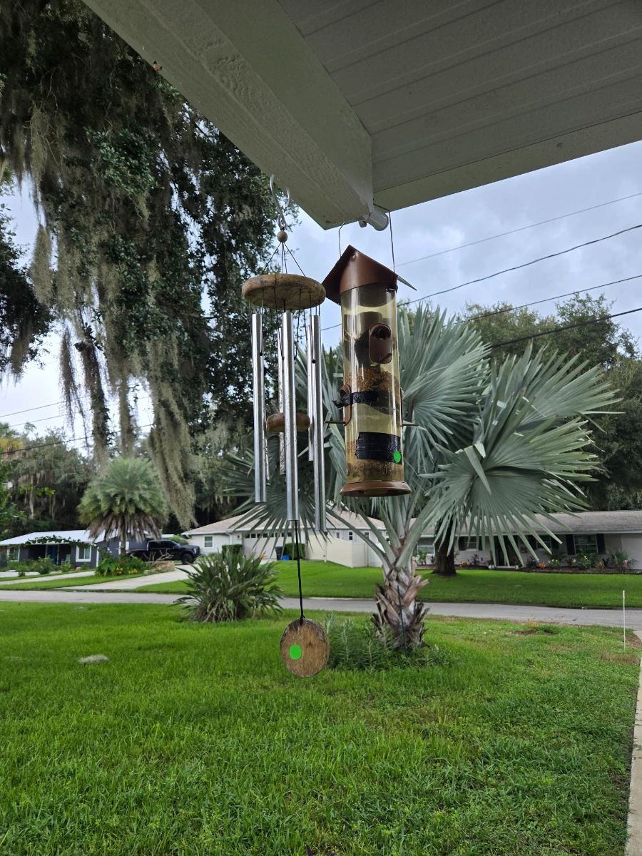 SWEET MEMORIES ESTATE SALES invites you to Oliver Estates in NSB!